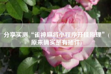 分享实测“雀神麻将小程序开挂原理	”(原来确实是有插件)