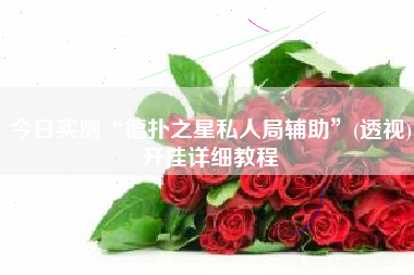 今日实测“德扑之星私人局辅助”(透视)开挂详细教程