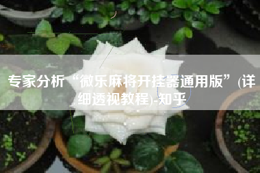 专家分析“微乐麻将开挂器通用版”(详细透视教程)-知乎