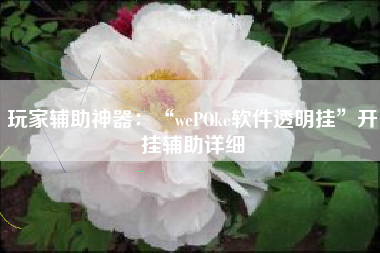 玩家辅助神器：“wePOke软件透明挂”开挂辅助详细