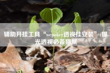 辅助开挂工具“wepoker透视挂安装”(曝光透视必备猫腻