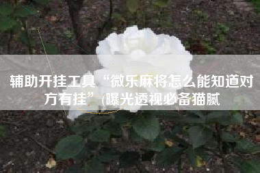 辅助开挂工具“微乐麻将怎么能知道对方有挂”(曝光透视必备猫腻