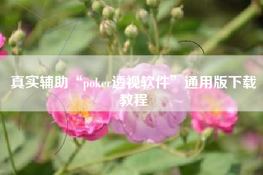 真实辅助“poker透视软件	”通用版下载教程
