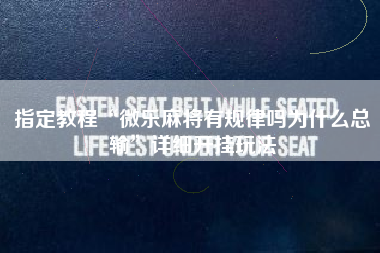 指定教程“微乐麻将有规律吗为什么总输”详细开挂玩法