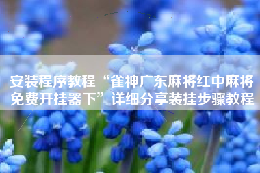 安装程序教程“雀神广东麻将红中麻将免费开挂器下”详细分享装挂步骤教程