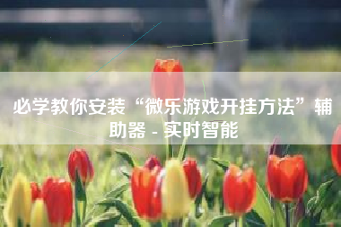 必学教你安装“微乐游戏开挂方法”辅助器 - 实时智能