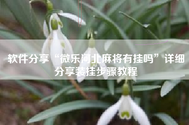 软件分享“微乐河北麻将有挂吗	”详细分享装挂步骤教程