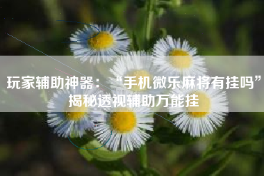 玩家辅助神器：“手机微乐麻将有挂吗”揭秘透视辅助万能挂