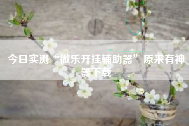 今日实测“微乐开挂辅助器”原来有神器下载