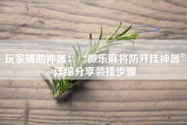 玩家辅助神器：“微乐麻将防开挂神器	”详细分享装挂步骤