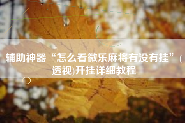 辅助神器“怎么看微乐麻将有没有挂”(透视)开挂详细教程