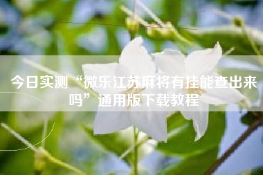 今日实测“微乐江苏麻将有挂能查出来吗”通用版下载教程