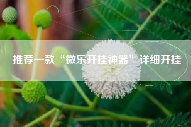 推荐一款“微乐开挂神器”详细开挂