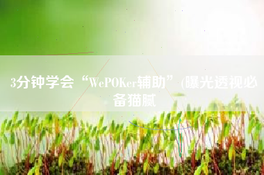 3分钟学会“WePOKer辅助	”(曝光透视必备猫腻