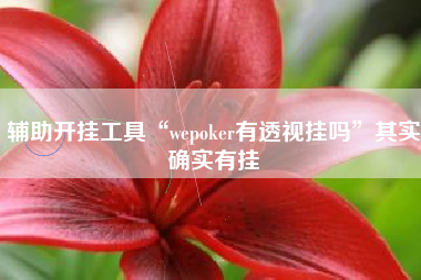 辅助开挂工具“wepoker有透视挂吗	”其实确实有挂