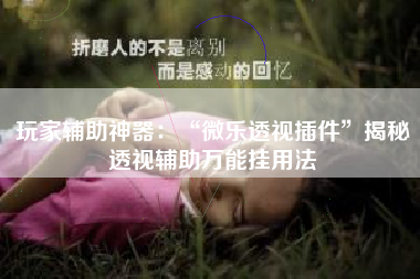 玩家辅助神器：“微乐透视插件”揭秘透视辅助万能挂用法