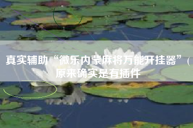 真实辅助“微乐内蒙麻将万能开挂器”(原来确实是有插件