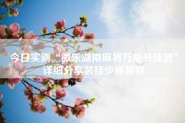 今日实测“微乐湖南麻将万能开挂器”详细分享装挂步骤教程