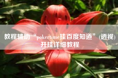 教程辅助“pokertime挂百度知道”(透视)开挂详细教程