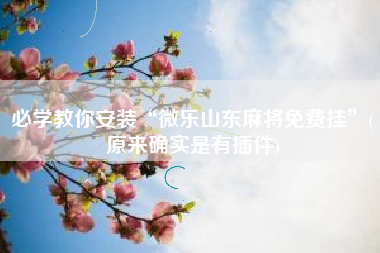 必学教你安装“微乐山东麻将免费挂”(原来确实是有插件)