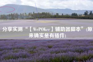 分享实测“【WePOKer】辅助器脚本	”(原来确实是有插件)