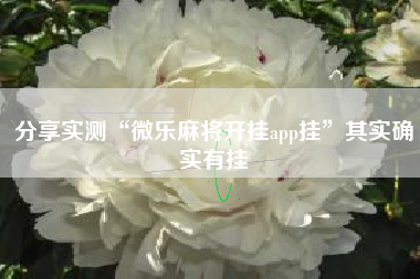 分享实测“微乐麻将开挂app挂”其实确实有挂