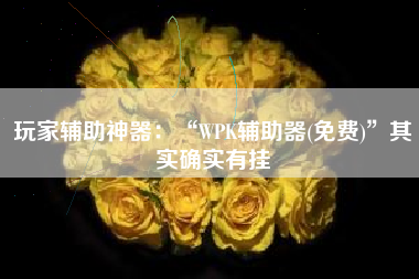 玩家辅助神器：“WPK辅助器(免费)”其实确实有挂