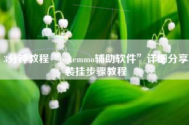 3分钟教程“pokemmo辅助软件”详细分享装挂步骤教程
