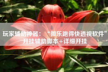 玩家辅助神器：“微乐跑得快透视软件”开挂辅助脚本+详细开挂