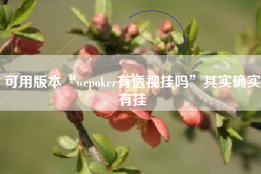 可用版本“wepoker有透视挂吗”其实确实有挂