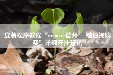 安装程序教程“wepoker德州 一键透视购买	”详细开挂玩法