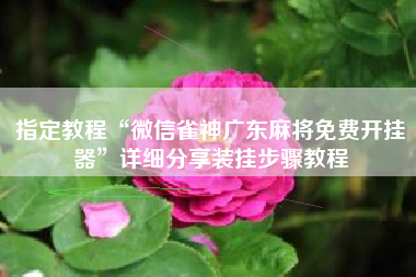 指定教程“微信雀神广东麻将免费开挂器”详细分享装挂步骤教程
