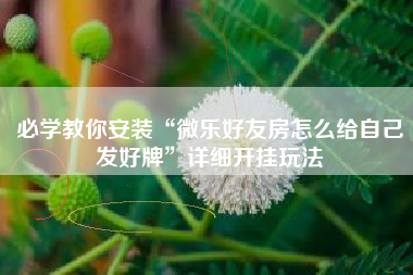 必学教你安装“微乐好友房怎么给自己发好牌”详细开挂玩法