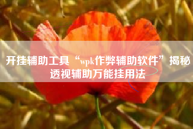 开挂辅助工具“wpk作弊辅助软件	”揭秘透视辅助万能挂用法