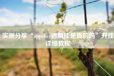 实测分享“appoker透明挂是真的吗”开挂详细教程