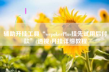 辅助开挂工具“wepokerPlus挂先试用后付款”(透视)开挂详细教程