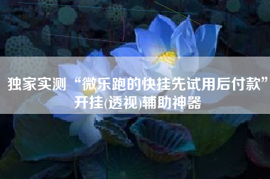 独家实测“微乐跑的快挂先试用后付款	”开挂(透视)辅助神器