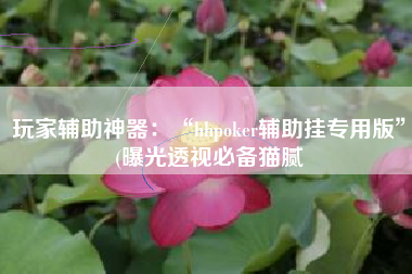 玩家辅助神器：“hhpoker辅助挂专用版”(曝光透视必备猫腻
