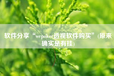 软件分享“wepoker透视软件购买”(原来确实是有挂)