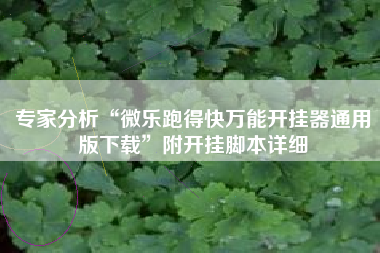 专家分析“微乐跑得快万能开挂器通用版下载”附开挂脚本详细