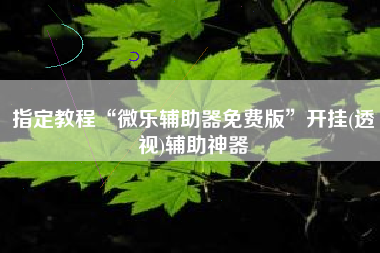 指定教程“微乐辅助器免费版”开挂(透视)辅助神器