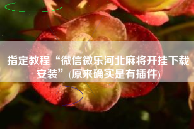 指定教程“微信微乐河北麻将开挂下载安装”(原来确实是有插件)