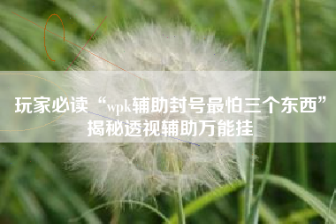 玩家必读“wpk辅助封号最怕三个东西”揭秘透视辅助万能挂