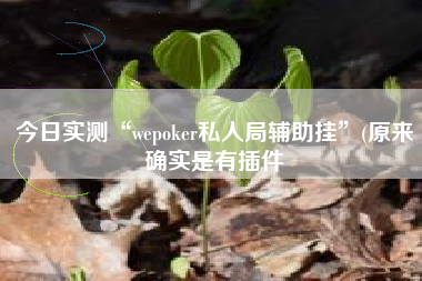 今日实测“wepoker私人局辅助挂”(原来确实是有插件