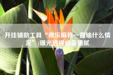 开挂辅助工具“微乐麻将一直输什么情况”(曝光透视必备猫腻