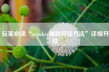 玩家必读“wepoker辅助开挂方法”详细开挂