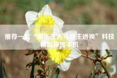 推荐一款“微乐三人斗地主透视	”科技辅助神器手机