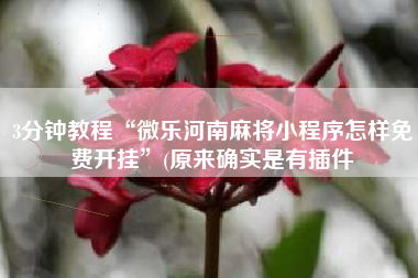 3分钟教程“微乐河南麻将小程序怎样免费开挂	”(原来确实是有插件