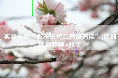 实测分析“微乐三代二有没有挂”(详细透视教程)-知乎