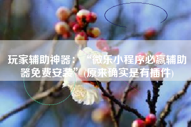 玩家辅助神器：“微乐小程序必赢辅助器免费安装”(原来确实是有插件)